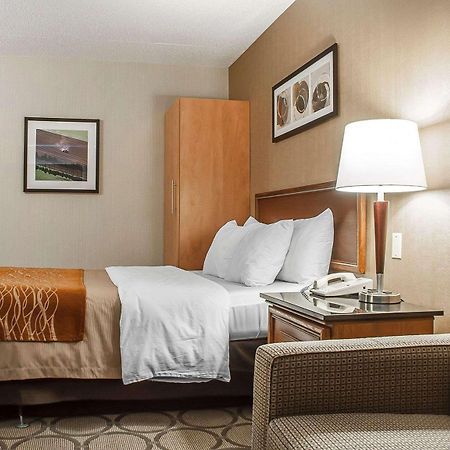 Comfort Inn Simcoe Bagian luar foto