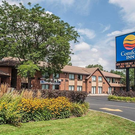 Comfort Inn Simcoe Bagian luar foto