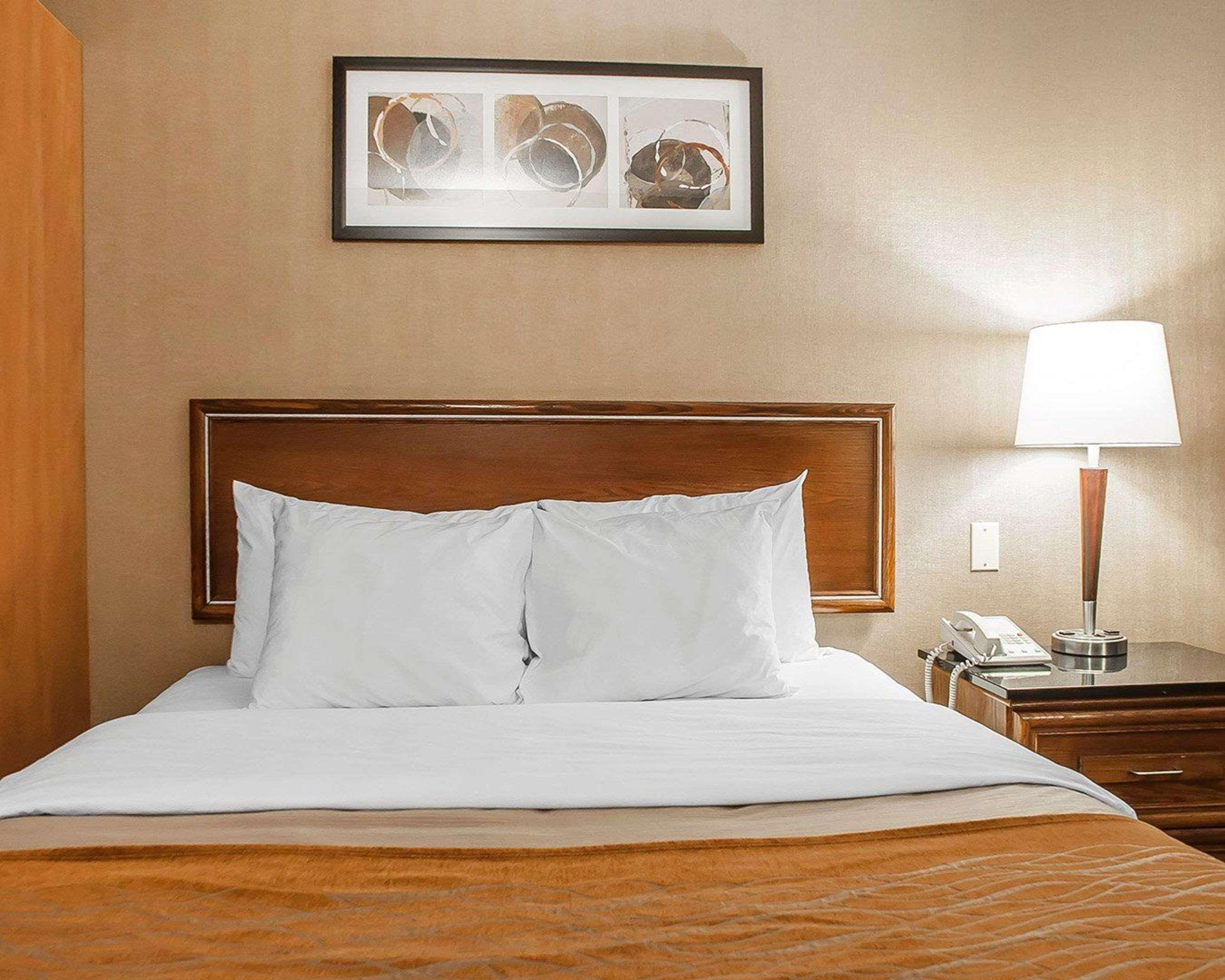 Comfort Inn Simcoe Bagian luar foto