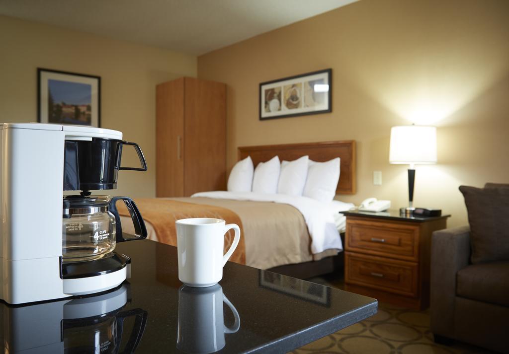 Comfort Inn Simcoe Bagian luar foto