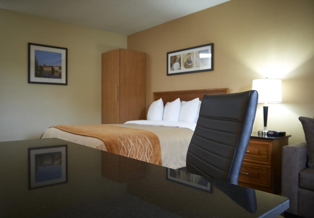 Comfort Inn Simcoe Bagian luar foto