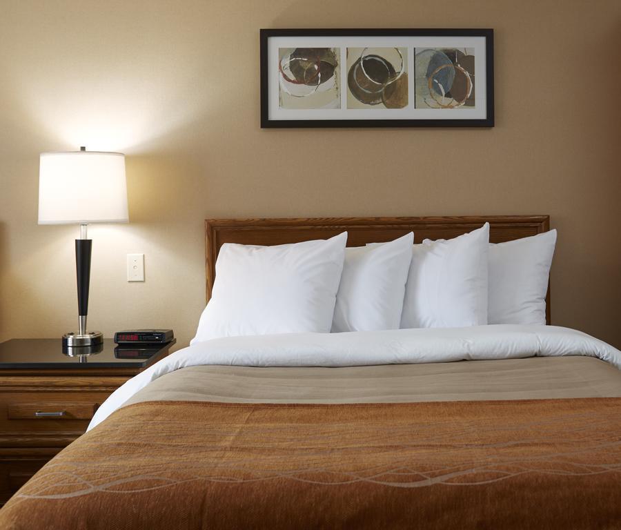 Comfort Inn Simcoe Bagian luar foto
