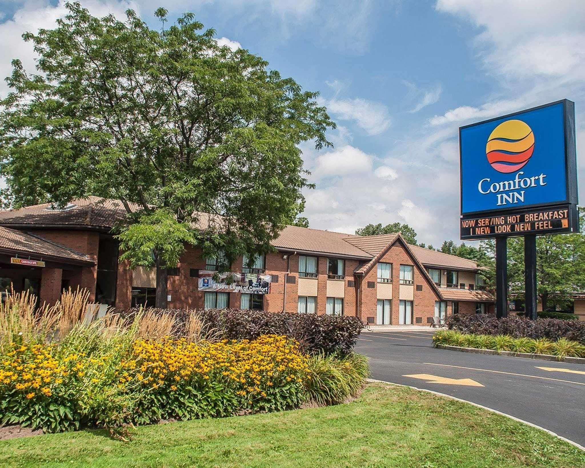 Comfort Inn Simcoe Bagian luar foto