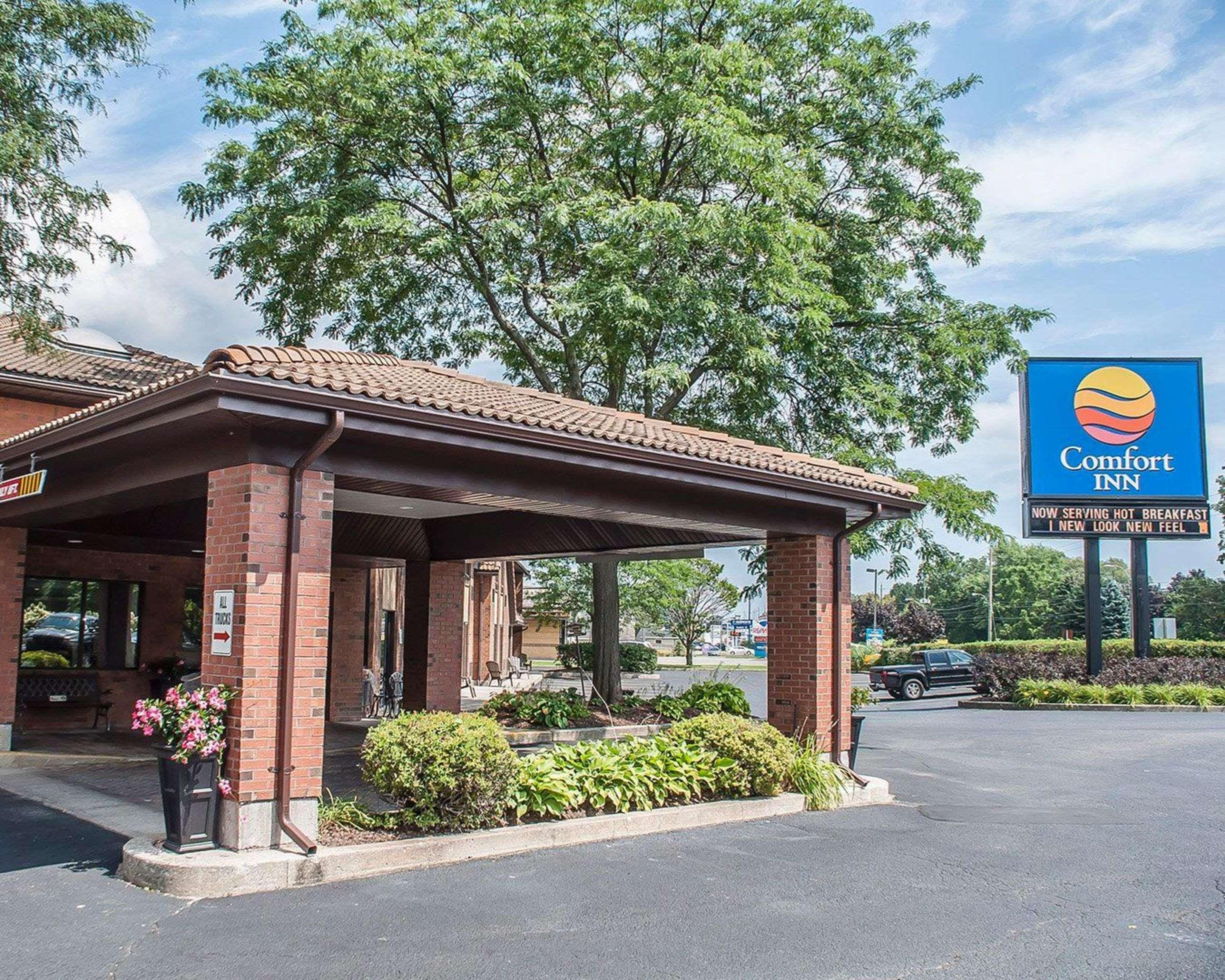 Comfort Inn Simcoe Bagian luar foto