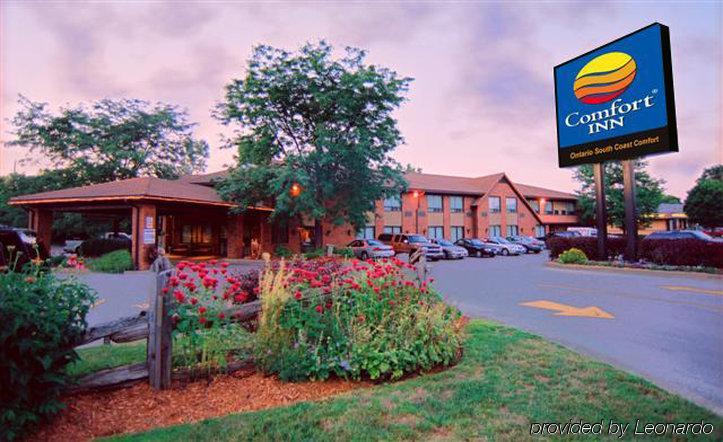 Comfort Inn Simcoe Bagian luar foto
